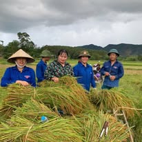 Mặt trận Tổ quốc xã Đức Đồng triển khai nhiều hoạt động thiết thực hỗ trợ nhân dân khắc phục hậu quả bão số 5