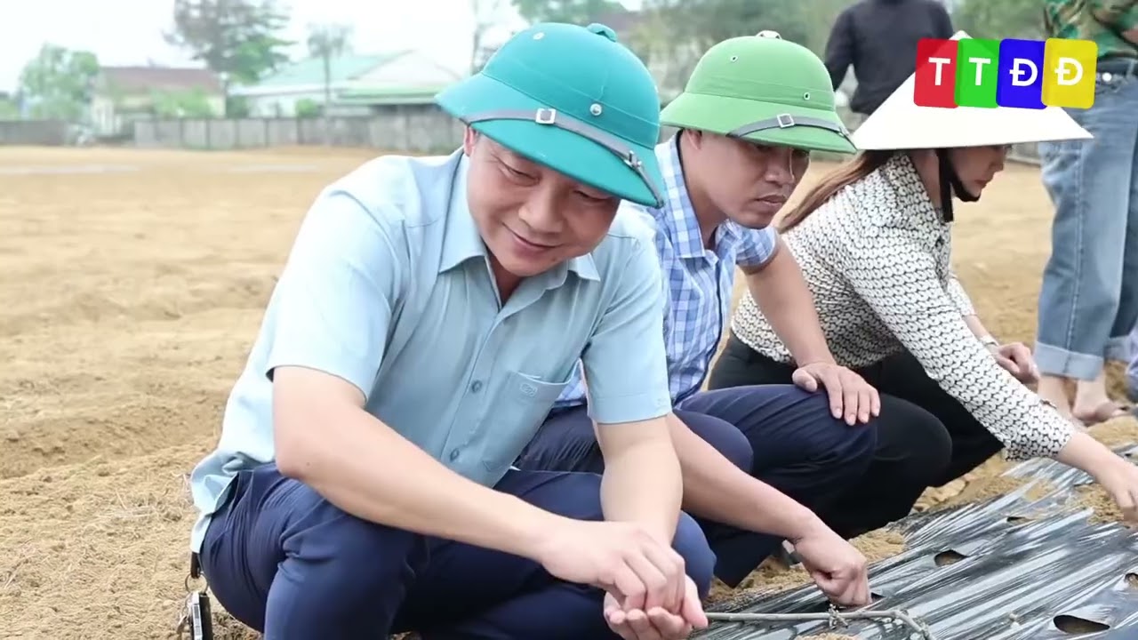 Đức Đồng tổ chức triển khai gieo trồng hạt giống Sâm Bố Chính tại thôn Sơn Quang. 