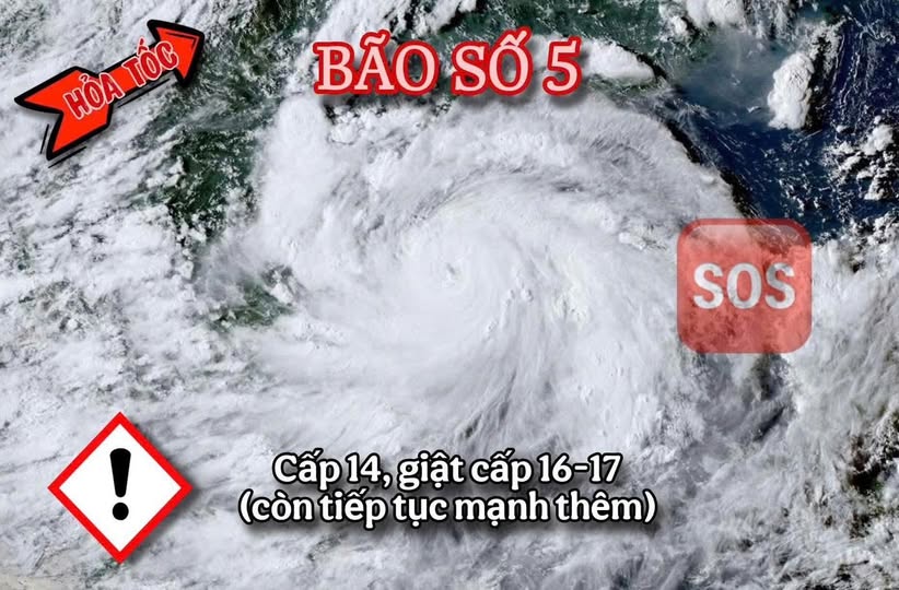 TIN BÃO HỎA TỐC: BÃO SỐ 5 VỌT CẤP - NGÀY CÀNG MẠNH LÚC NÀY VIỆC SƠ TÁN DI TẢN RA KHỎI KHU VỰC NGUY HIỂM LÀ CẤP THIẾT
