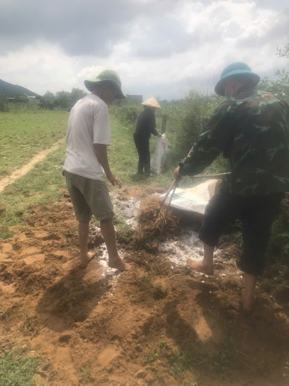 TÌNH HÌNH DỊCH TẢ LỢN CHÂU PHI TRÊN ĐỊA BÀN XÃ ĐỨC ĐỒNG