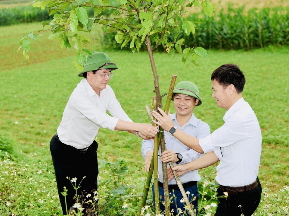 Đức Đồng ra quân trồng cây đầu Xuân Bính Ngọ 2026