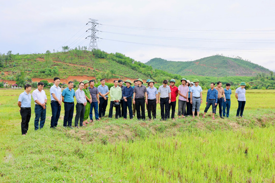 Đức Đồng tập trung tháo gỡ khó khăn, đẩy nhanh tiến độ tích tụ, chuyển đổi ruộng đất